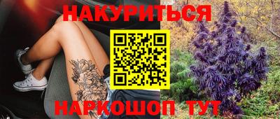 индика Ливны