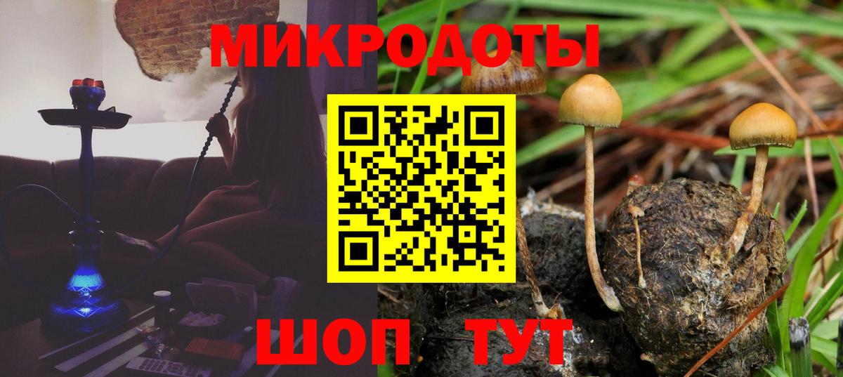 Улан-Удэ  Галлюциногенные грибы мухоморы  Вход с VPN 
